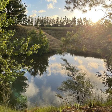 A Cabin With A Big View, Comfort And Tranquility, Close To Vines Martinborough Eksteriør bilde