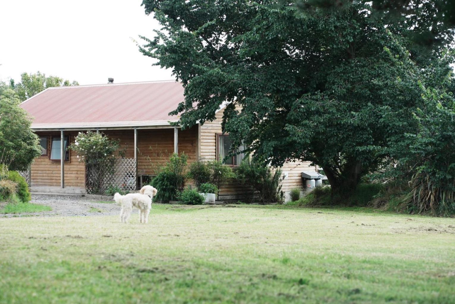 A Cabin With A Big View, Comfort And Tranquility, Close To Vines Martinborough Eksteriør bilde