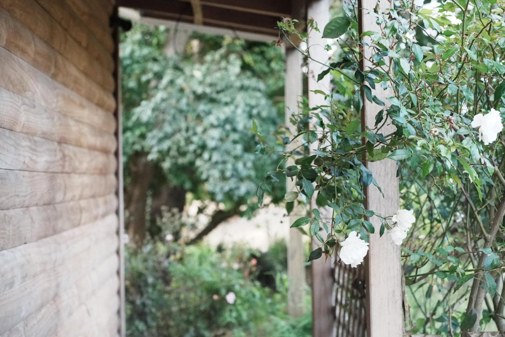 A Cabin With A Big View, Comfort And Tranquility, Close To Vines Martinborough Eksteriør bilde
