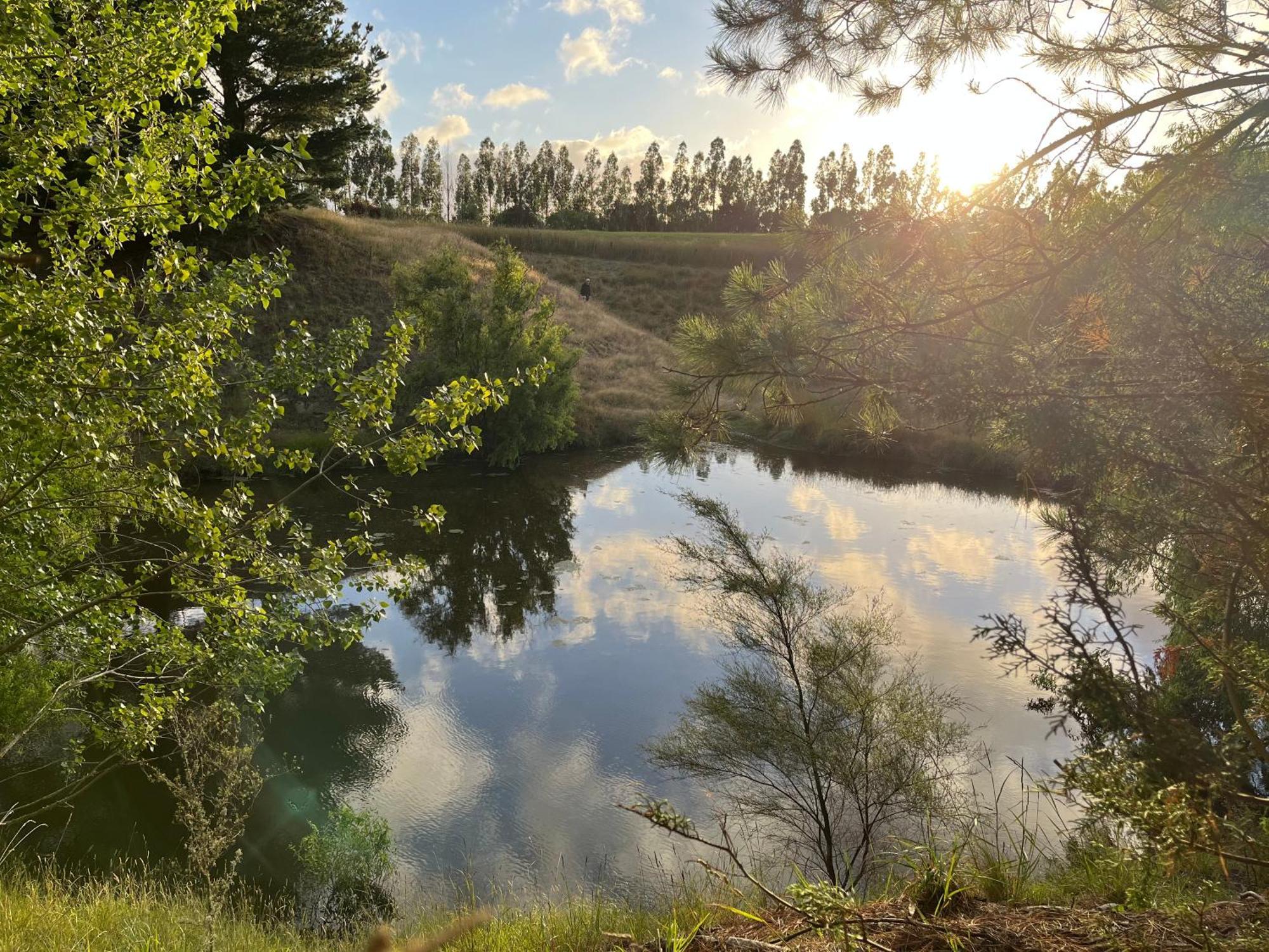 A Cabin With A Big View, Comfort And Tranquility, Close To Vines Martinborough Eksteriør bilde
