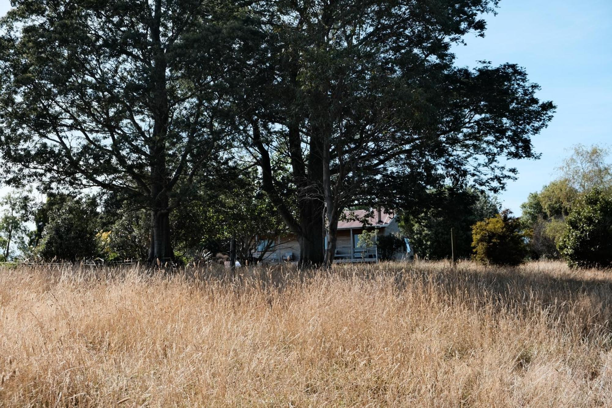 A Cabin With A Big View, Comfort And Tranquility, Close To Vines Martinborough Eksteriør bilde