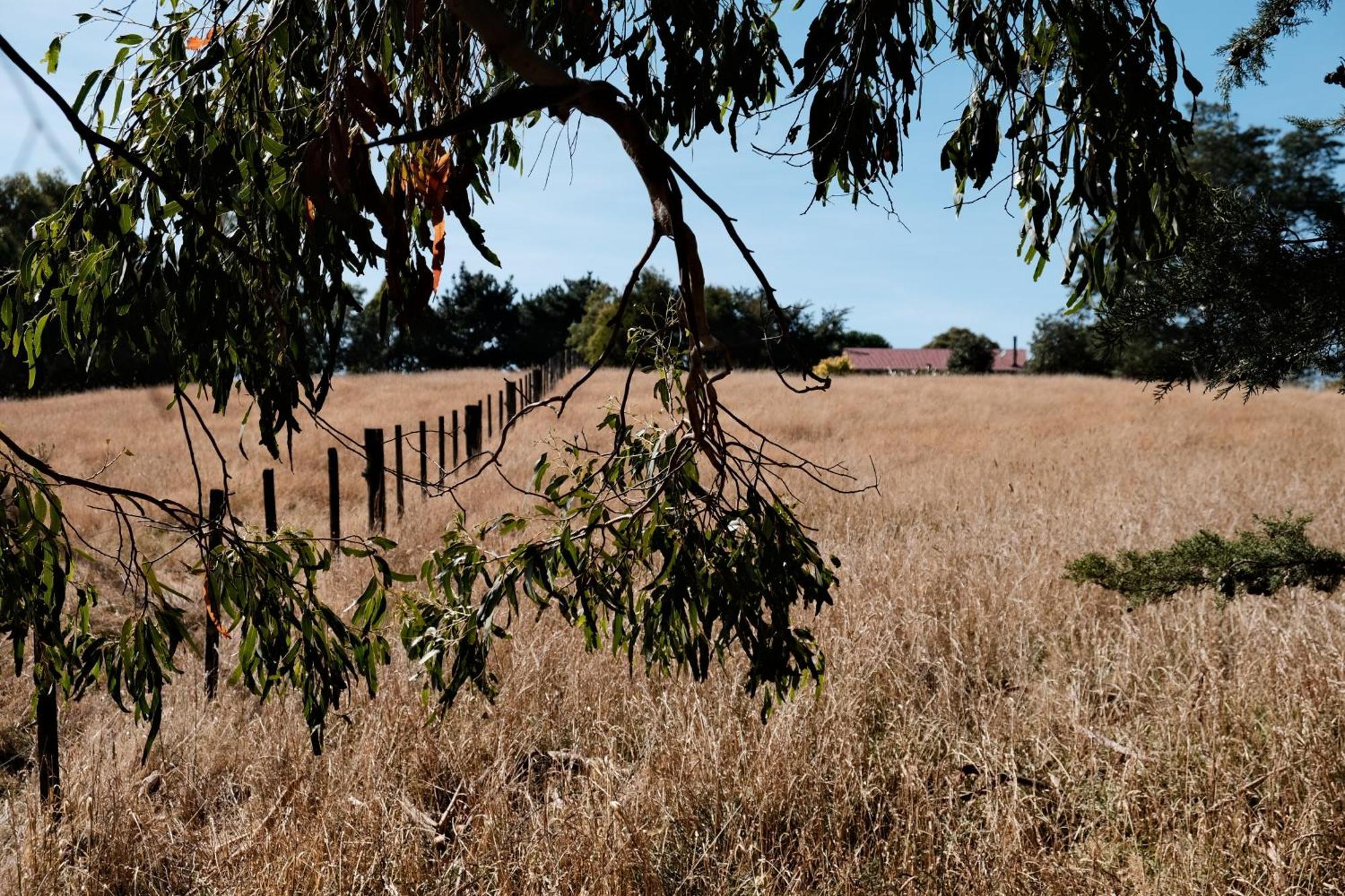 A Cabin With A Big View, Comfort And Tranquility, Close To Vines Martinborough Eksteriør bilde