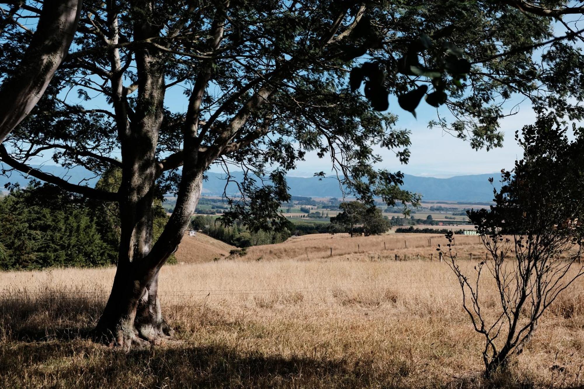 A Cabin With A Big View, Comfort And Tranquility, Close To Vines Martinborough Eksteriør bilde