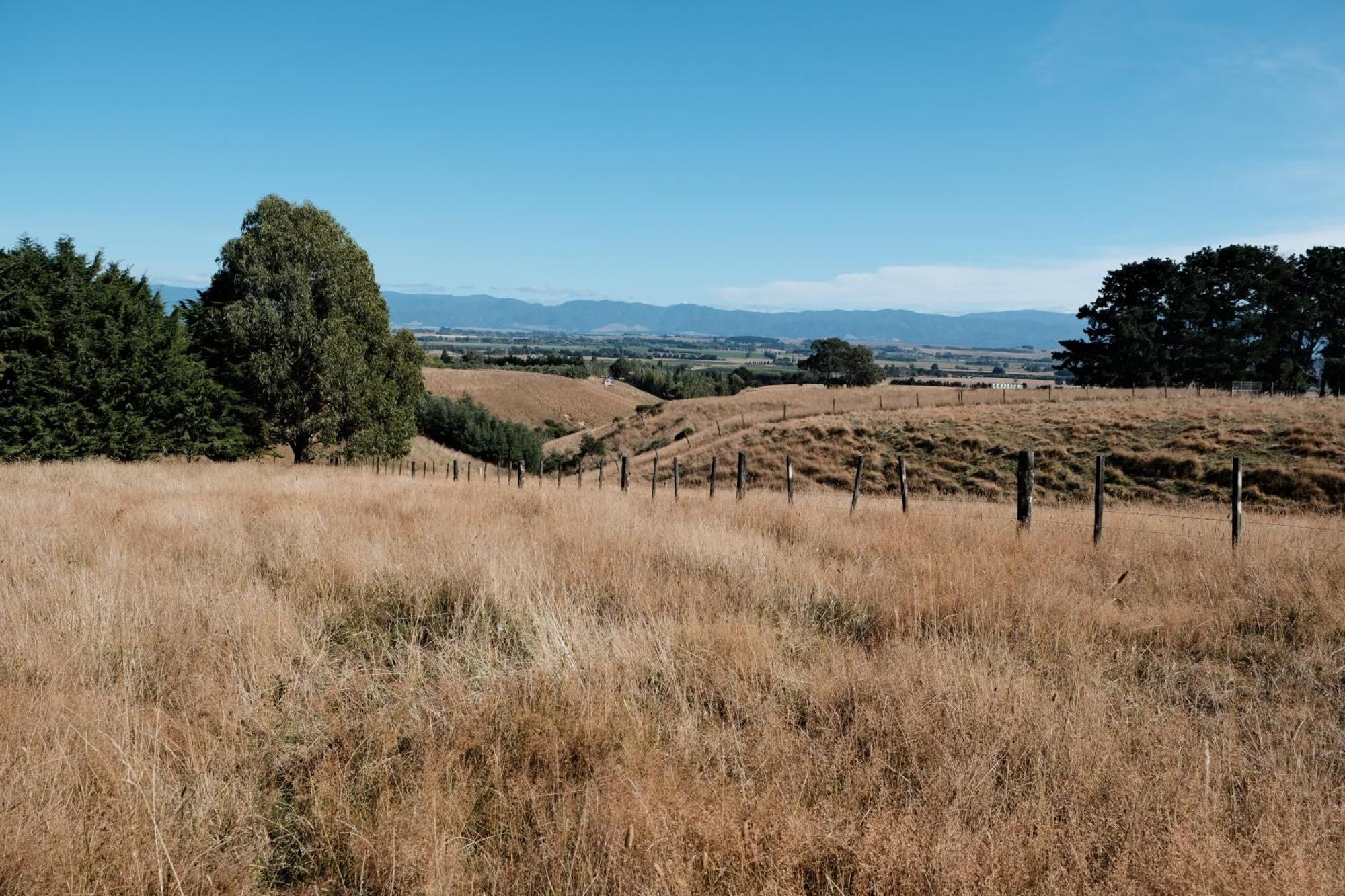 A Cabin With A Big View, Comfort And Tranquility, Close To Vines Martinborough Eksteriør bilde